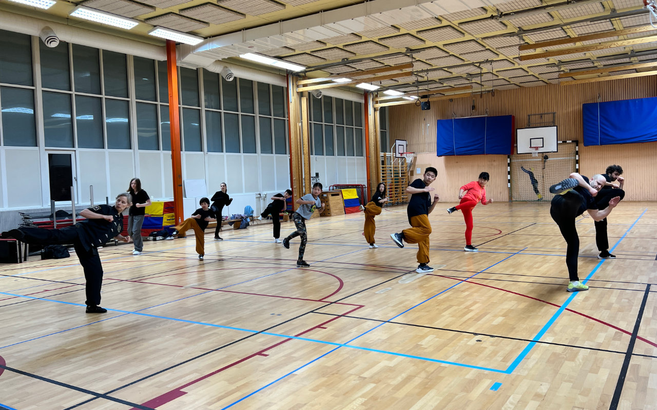 Danderydsgruppens tse-ti, sidspark